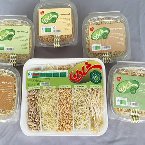 انواع جوانه ≫