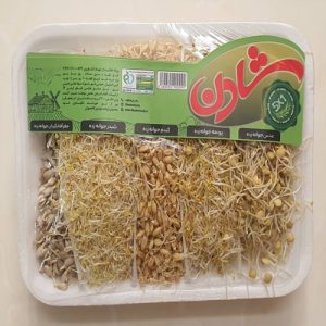 جوانه میکس ۳۰۰ گرم